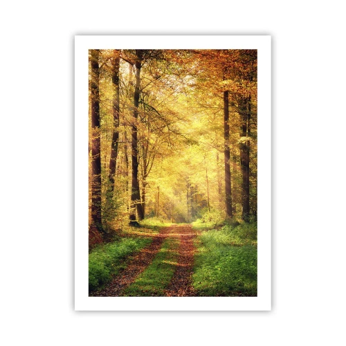 Affiche - Poster - Un chemin forestier à la lumière du soleil doré de l'automne - 50x70cm - Silence d'or en forêt - Décoration murale moderne pour le salon et la chambre ARTTOR