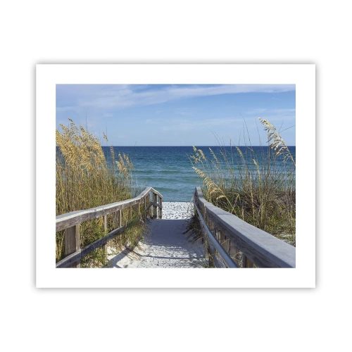 Affiche - Poster - Au soleil, sous le vent - 50x40 cm