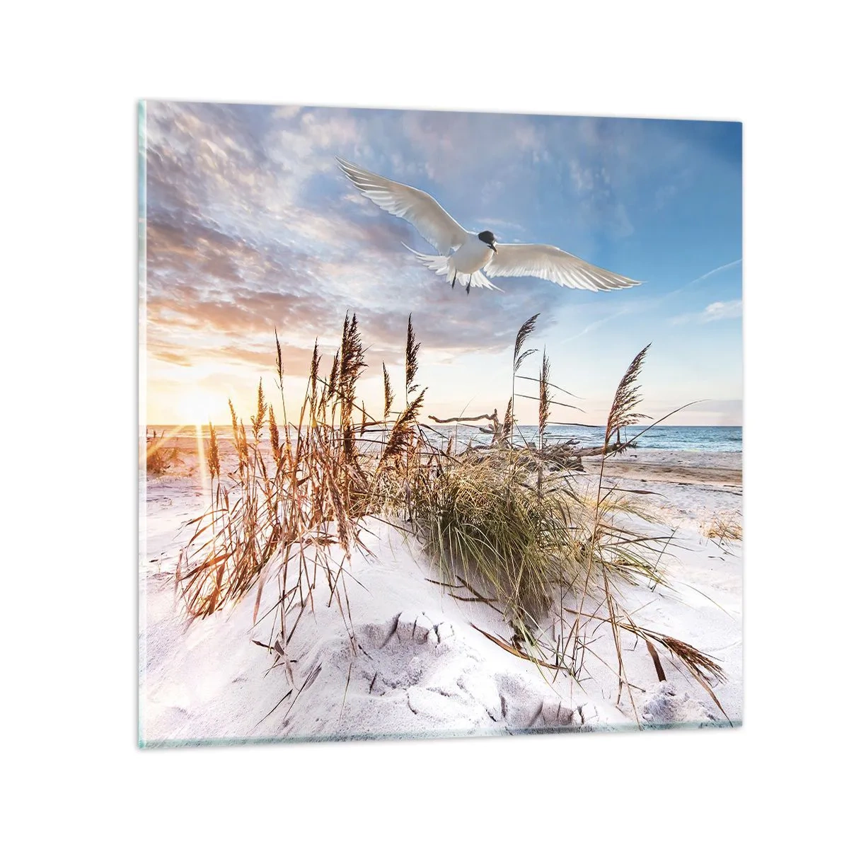 Impression sur verre - Image sur verre - Vent de mer - 50x50 cm