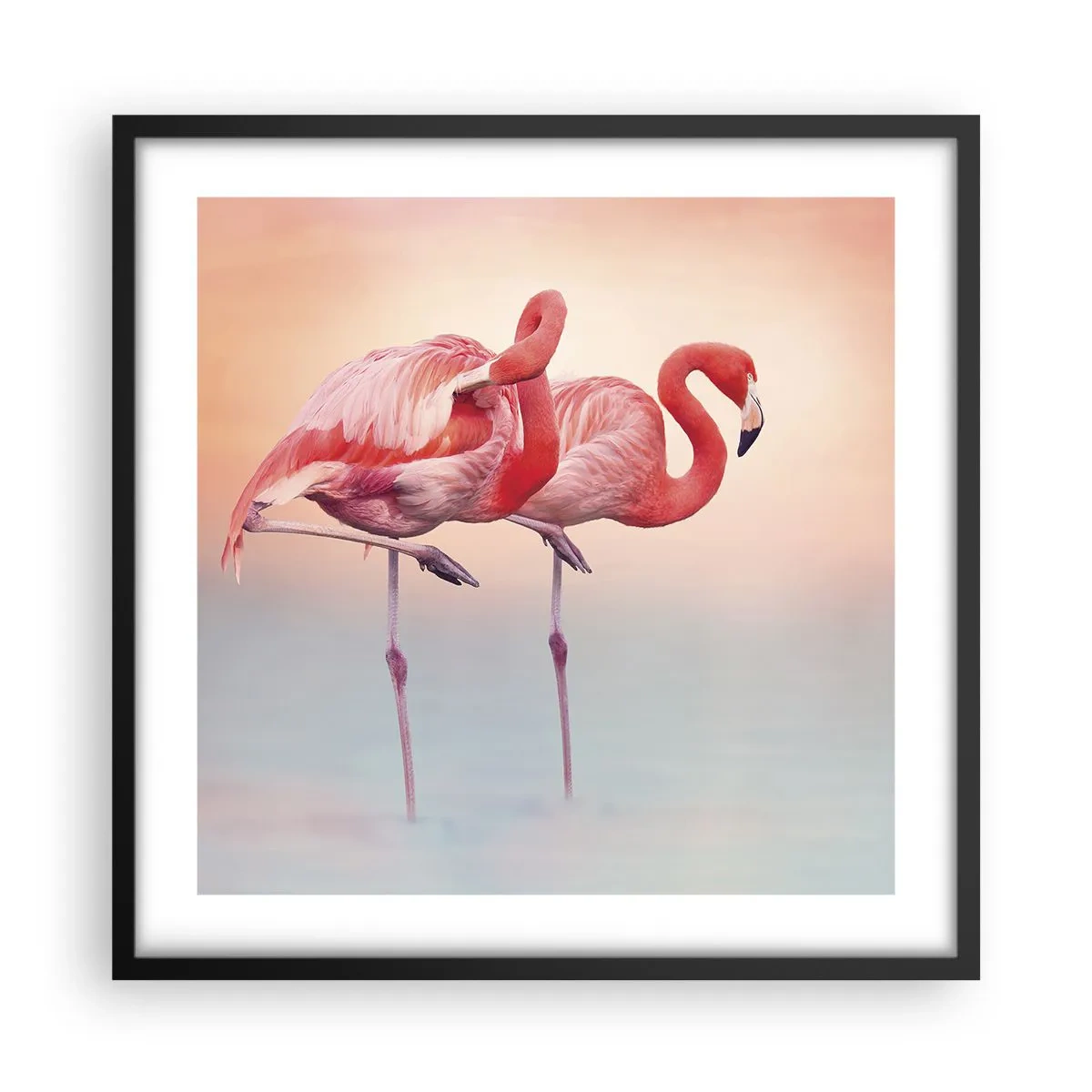 Affiche dans un cadre noir - Poster - Dans les couleurs du soleil couchant - 50x50 cm