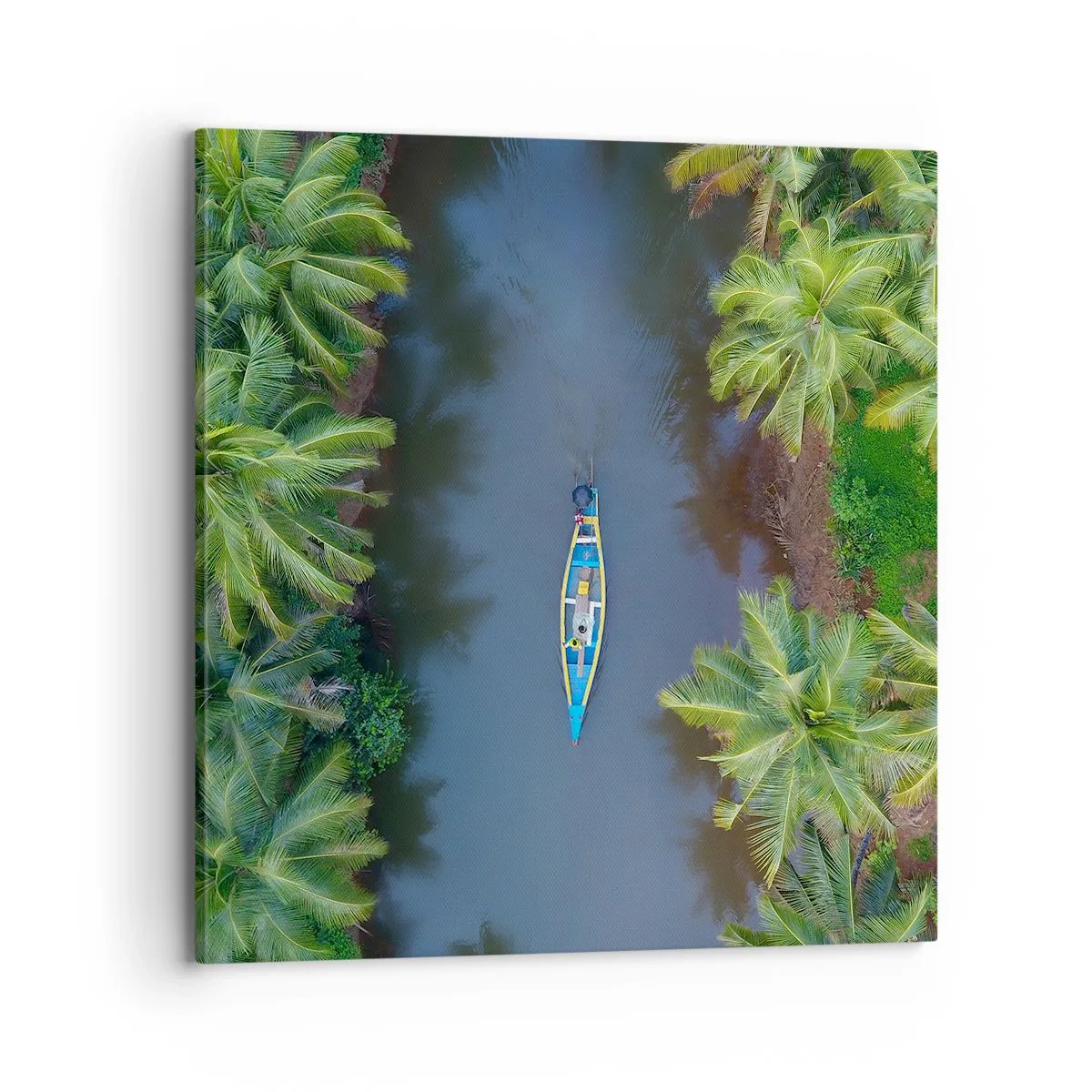 Impression sur toile - Image sur toile - Sur un sentier tropical - 70x70 cm