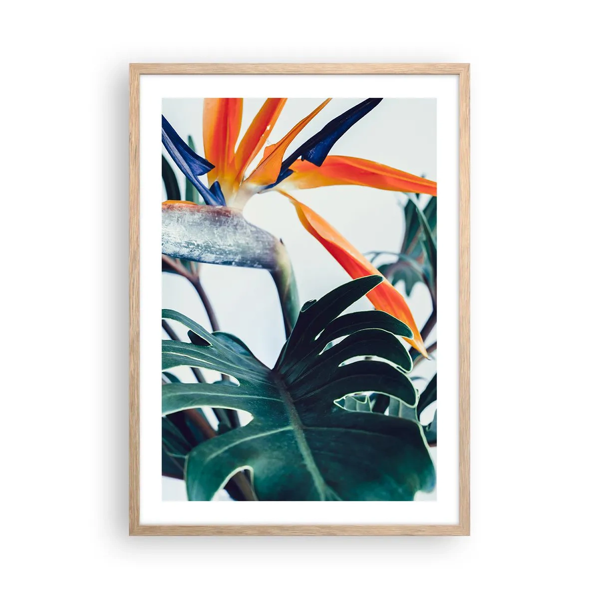 Affiche dans un chêne clair - Poster - Le buisson oiseaux - 50x70 cm