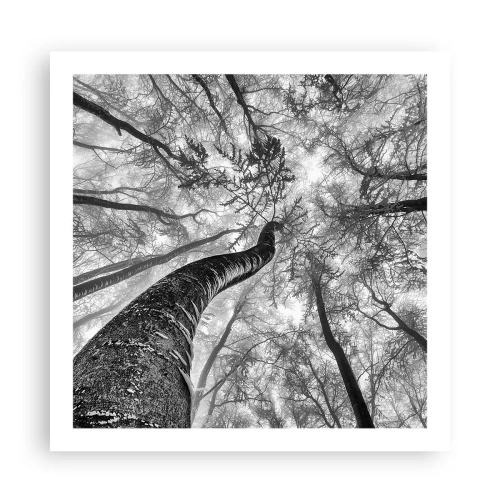 Affiche - Poster - Course vers la lumière - 60x60 cm