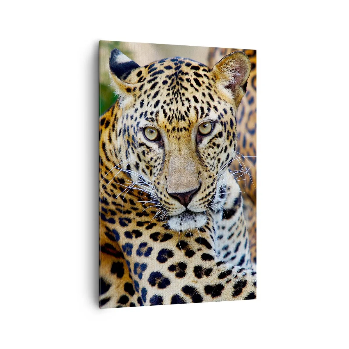 Impression sur toile - Image sur toile - Jaguar au repos dans un environnement naturel avec un fond vert. - 80x120cm - Sauvage et calme - Décoration murale moderne pour le salon et la chambre ARTTOR