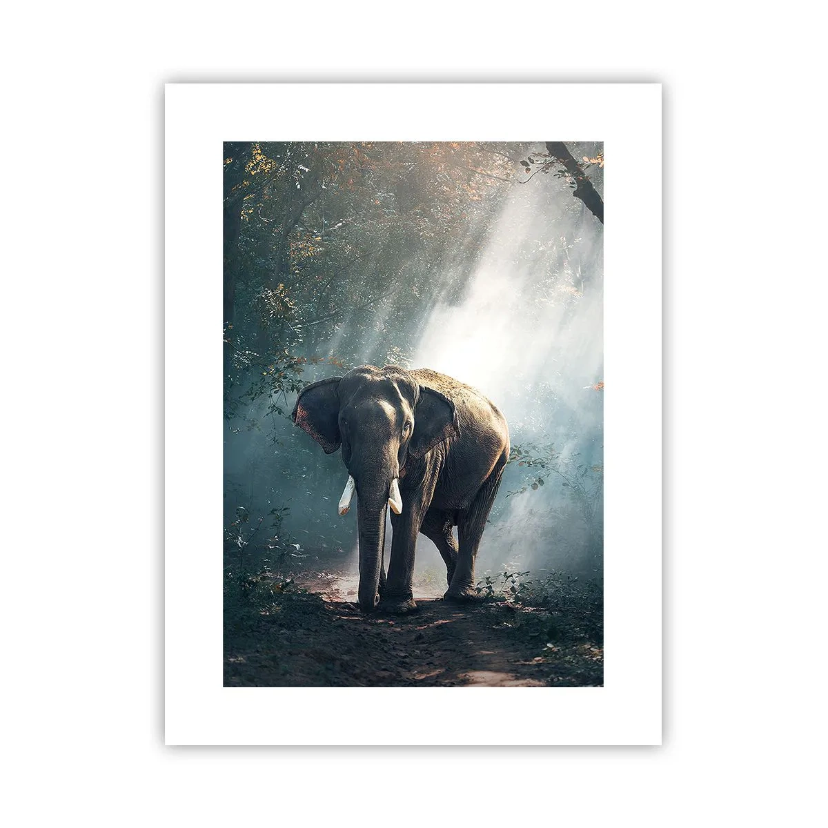 Affiche - Poster - Une balade tranquille - 30x40 cm