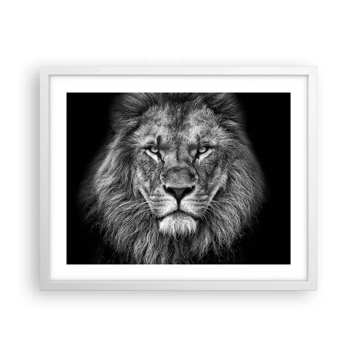 Affiche dans un cadre blanc - Poster - En vêtement de sacre - 50x40 cm