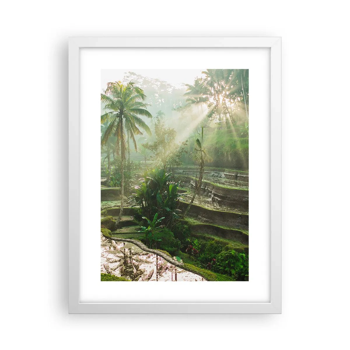 Affiche dans un cadre blanc - Poster - Grandir au soleil - 30x40 cm