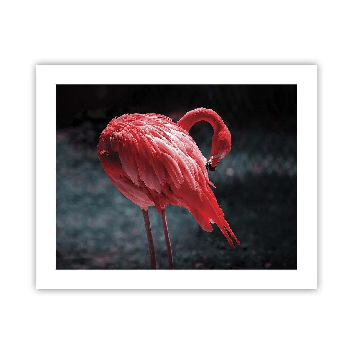 Affiche - Poster - Poème cramoisi de la nature - 50x40 cm