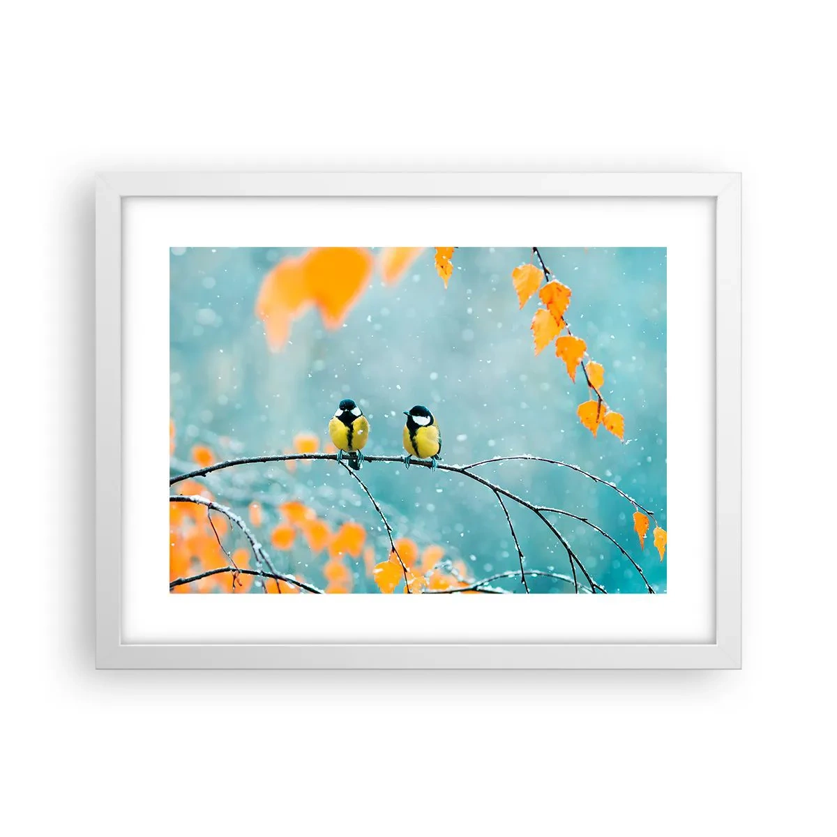 Affiche dans un cadre blanc - Poster - Potins d'oiseaux - 40x30 cm