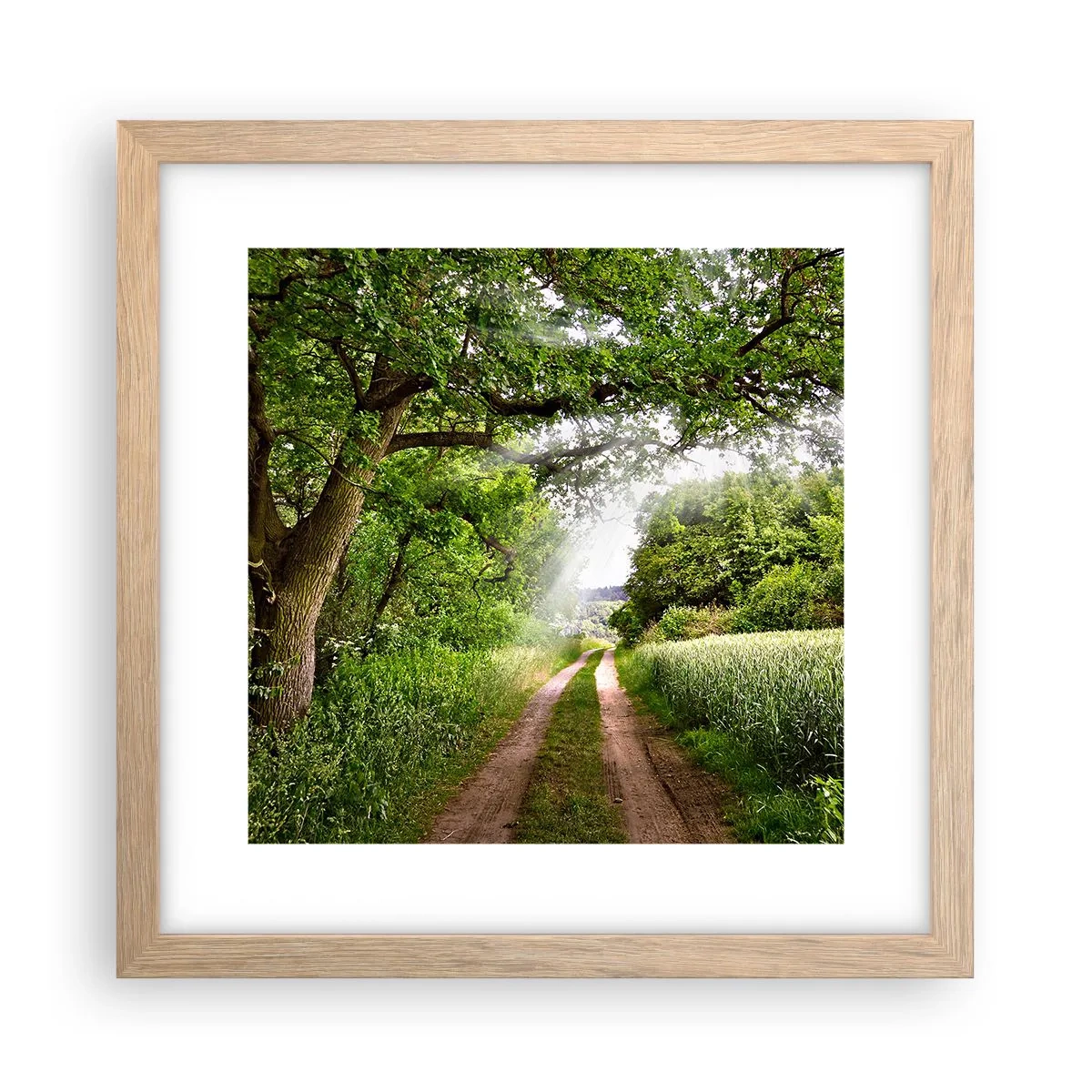 Affiche dans un chêne clair - Poster - Et in Arcadia ego - 30x30 cm