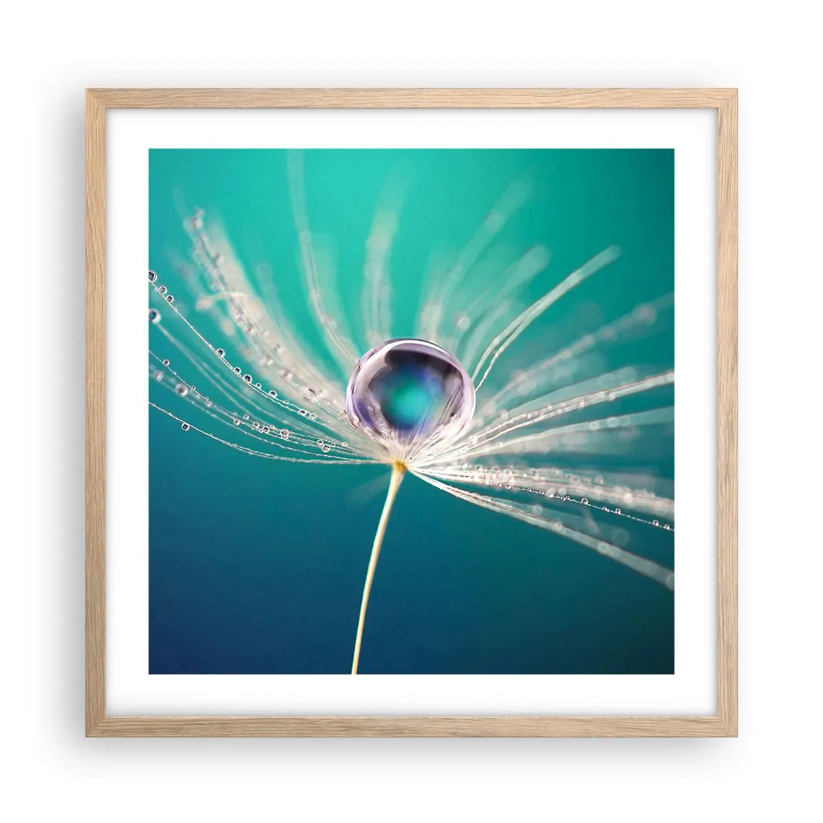 Affiche dans un chêne clair - Poster - Moment mystique - 50x50 cm