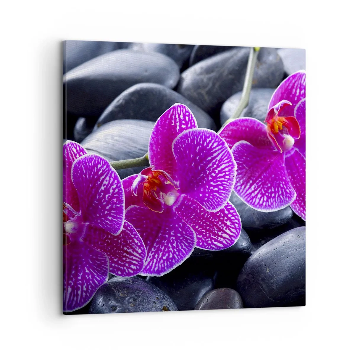 Impression sur toile - Image sur toile - Les pierres brillaient de joie - 50x50 cm