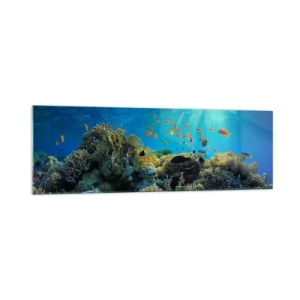 Impression sur verre - Image sur verre - Récif corallien avec des poissons sous les rayons du soleil sous l'eau - 160x50cm - Trésor sous-marin - Décoration murale moderne pour le salon et la chambre ARTTOR