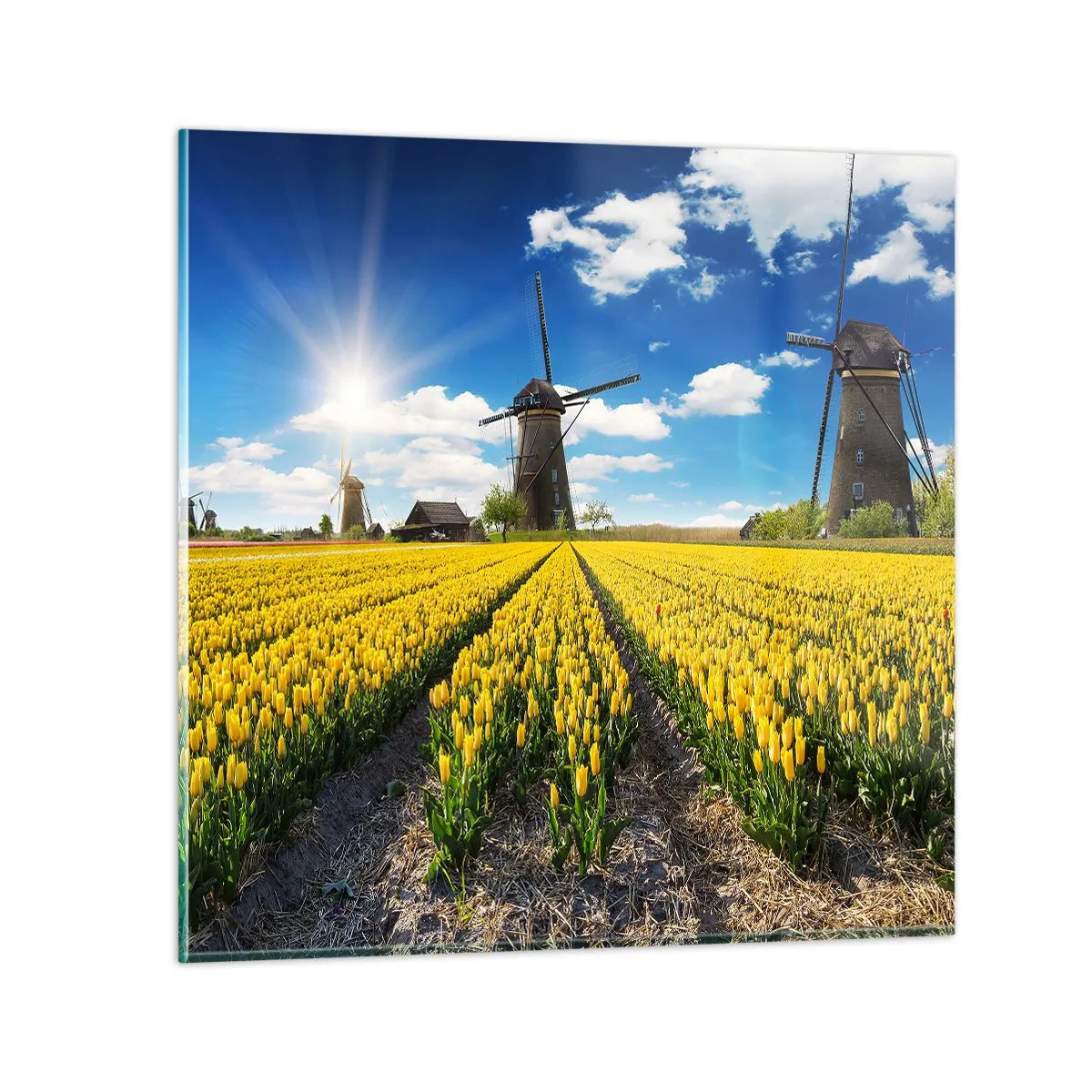 Impression sur verre - Image sur verre - Ça ne pourrait pas être plus hollandais - 40x40 cm