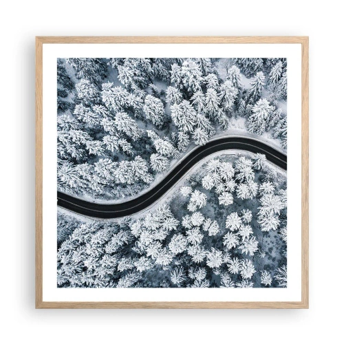 Affiche dans un chêne clair - Poster - À travers une forêt d'hiver - 60x60 cm