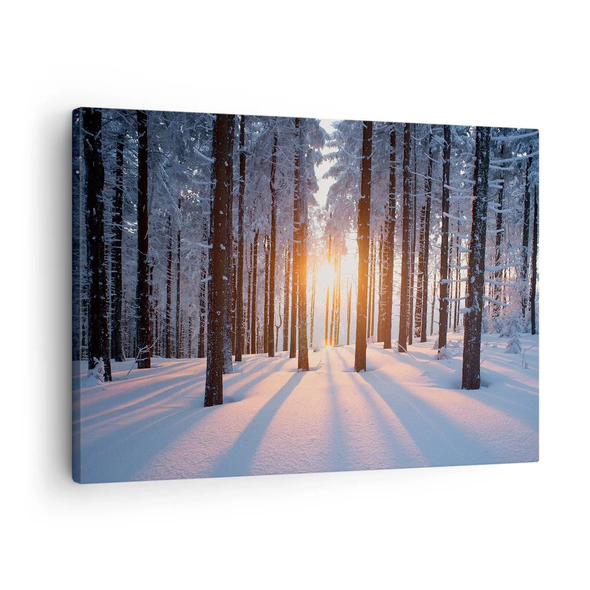 Impression sur toile - Image sur toile - Forêt d'hiver illuminée par les rayons du soleil - 70x50cm - Clairement en noir et blanc - Décoration murale moderne pour le salon et la chambre ARTTOR