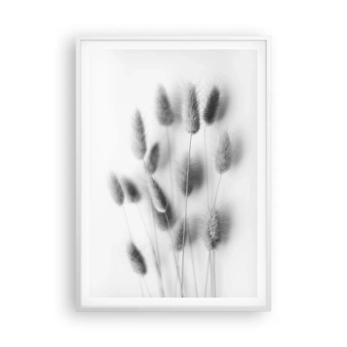 Affiche dans un cadre blanc - Poster - Son herbe duveteuse - 70x100 cm