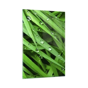 Impression sur verre - Image sur verre - Gros plan de brins d'herbe verte avec des gouttes de rosée - 80x120cm - Jouez dans le vert - Décoration murale moderne pour le salon et la chambre ARTTOR