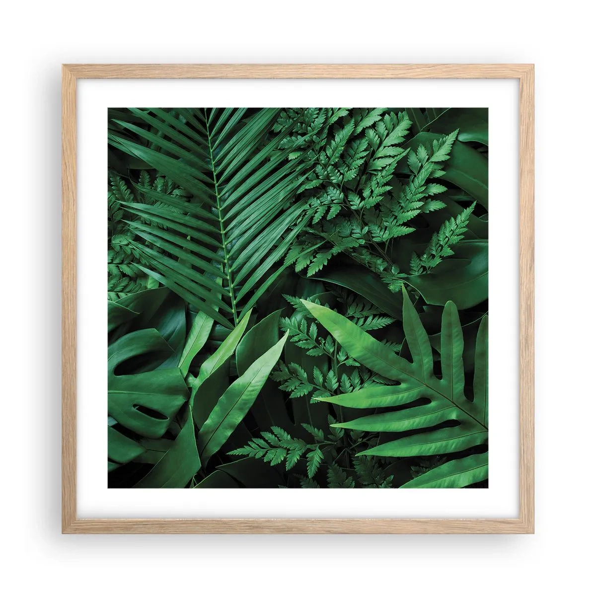 Affiche dans un chêne clair - Poster - Emmitouflé de verdure - 50x50 cm