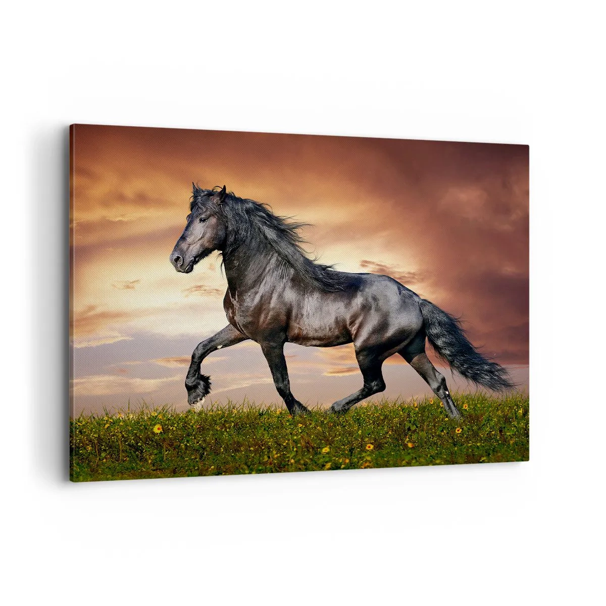 Impression sur toile - Image sur toile - Un cheval noir galopant contre le soleil couchant - 100x70cm - Livres noirs - Décoration murale moderne pour le salon et la chambre ARTTOR