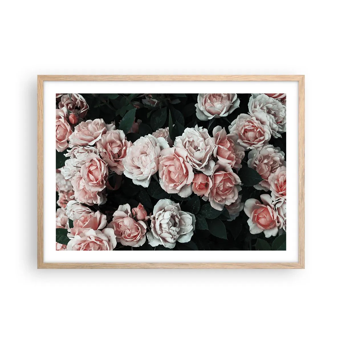 Affiche dans un chêne clair - Poster - Ensemble de rose - 70x50 cm