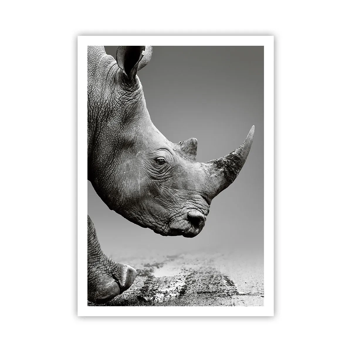 Affiche - Poster - Force inarrêtable - 70x100 cm