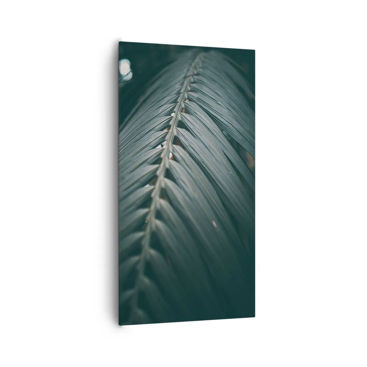 Impression sur toile - Image sur toile - Précision de la nature - 65x120 cm