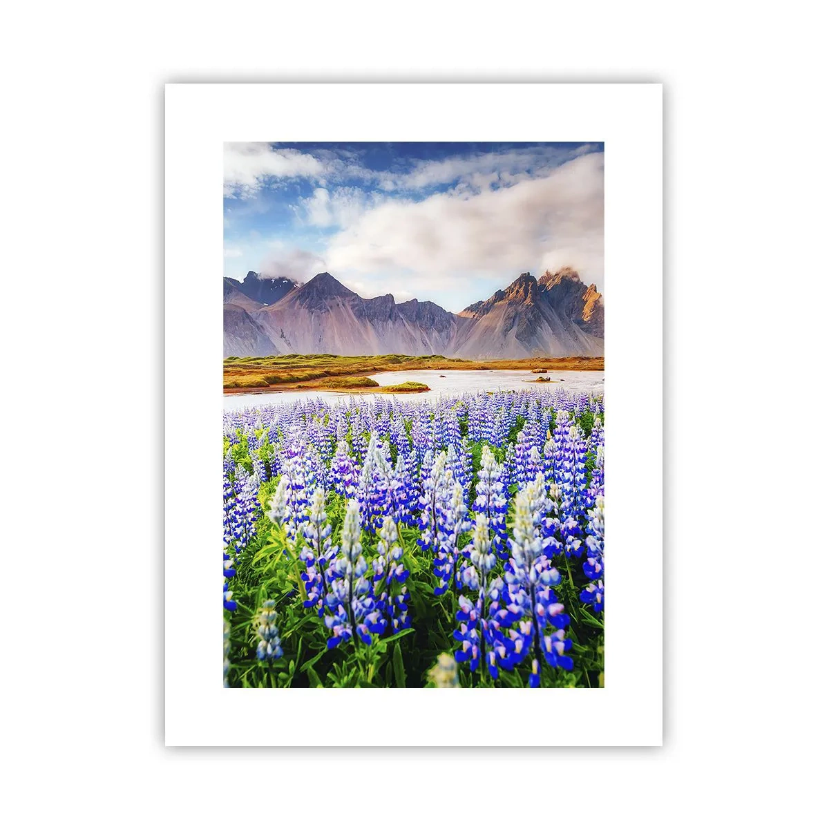 Affiche - Poster - La force et l'austérité côtoient la douceur - 30x40 cm