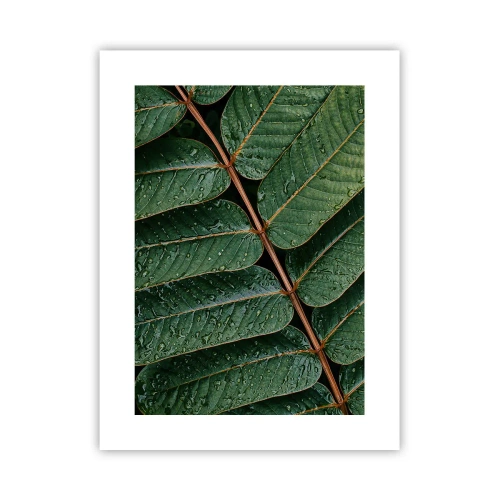 Affiche - Poster - Au rythme de la verdure - 30x40 cm