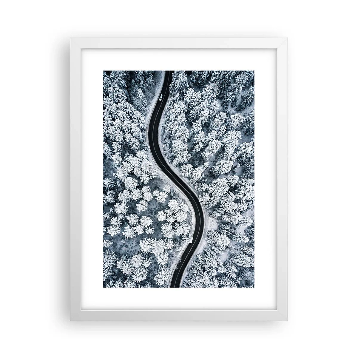 Affiche dans un cadre blanc - Poster - À travers une forêt d'hiver - 30x40 cm
