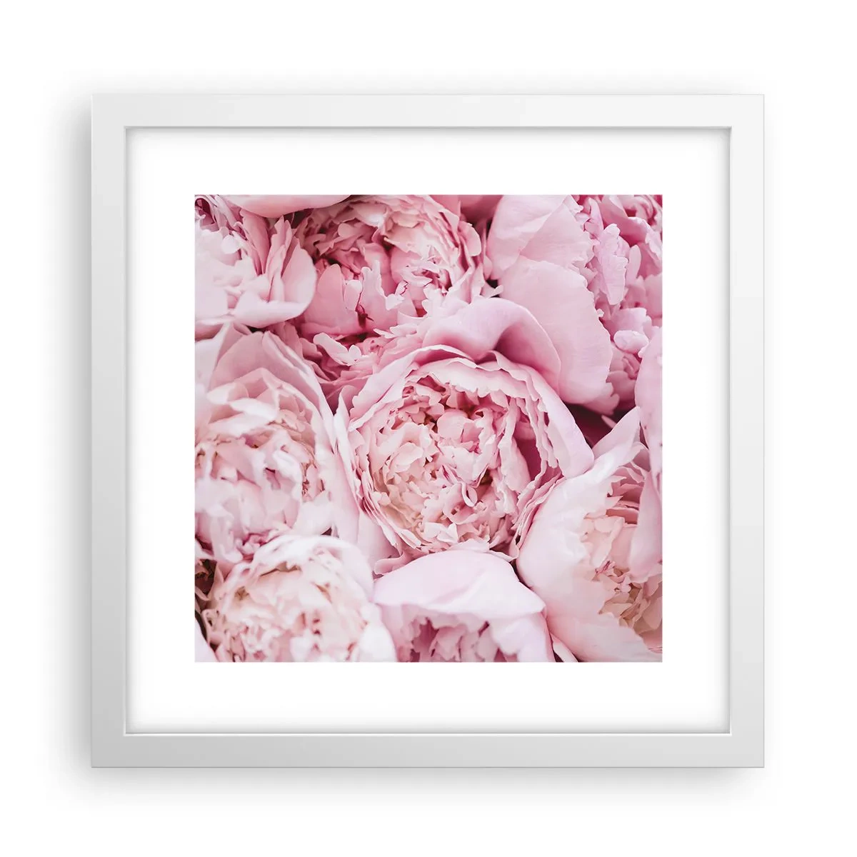 Affiche dans un cadre blanc - Poster - Caliné et parfumé - 30x30 cm