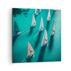 Impression sur toile - Image sur toile - Dans une compétition avec le vent - 50x50 cm