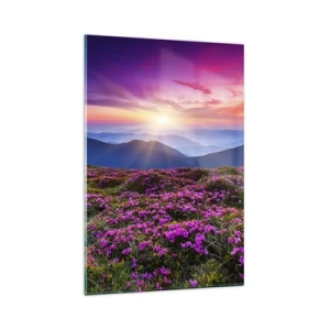 Impression sur verre - Image sur verre - Prairie de montagne avec des fleurs au coucher du soleil - 80x120cm - Les herbes sentaient les grappes fraîches de la récolte - Décoration murale moderne pour le salon et la chambre ARTTOR