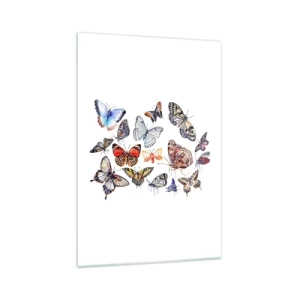 Impression sur verre - Image sur verre - Papillons colorés sur fond blanc - 70x100cm - Essaim de dentelle et de couleurs - Décoration murale moderne pour le salon et la chambre ARTTOR
