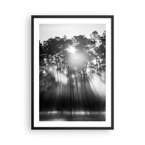 Affiche dans un cadre noir - Poster - Scène de forêt en noir et blanc avec des rayons de soleil dans le brouillard - 50x70cm - Soleil inarrêtable - Décoration murale moderne pour le salon et la chambre ARTTOR