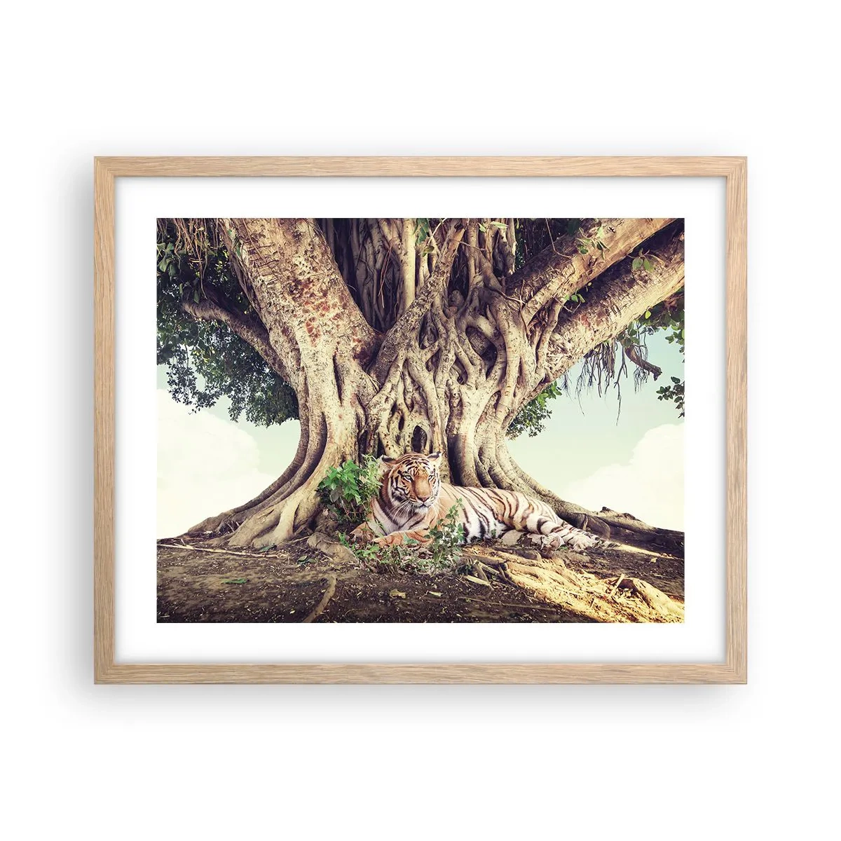 Affiche dans un chêne clair - Poster - Vue du Livre de la Genèse - 50x40 cm