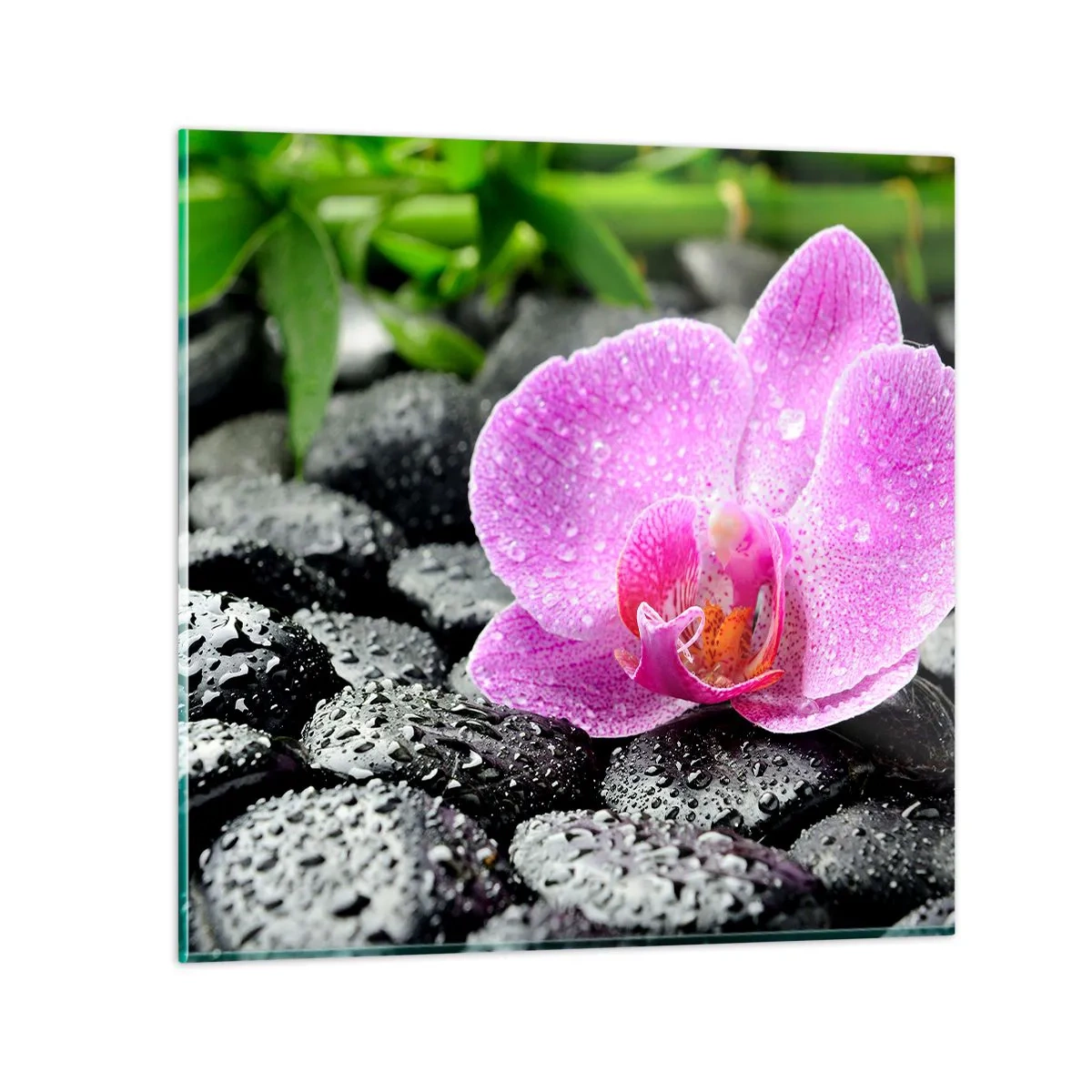 Impression sur verre - Image sur verre - Comme un coeur ouvert - 40x40 cm