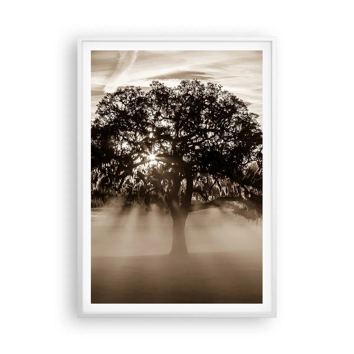 Affiche dans un cadre blanc - Poster - Arbre de bonnes nouvelles - 70x100 cm