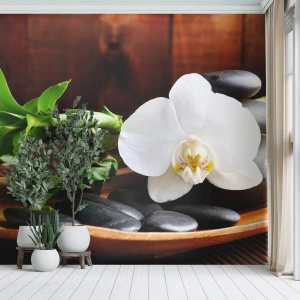 Papier Peint Photo Premium Sand - Cédez au contact de la nature - Fleurs, Orchidée, Orchidée - 200x140 cm