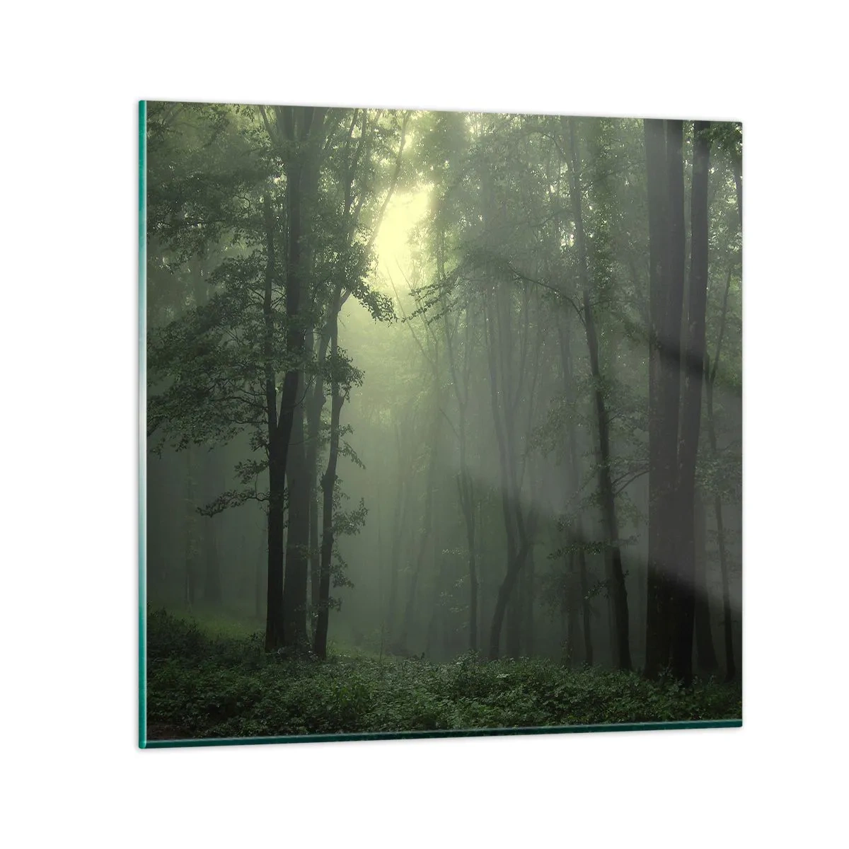 Impression sur verre - Image sur verre - Avant qu'il ne se réveille - 50x50 cm