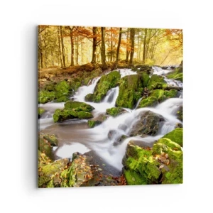 Impression sur toile - Image sur toile - Rapidement à travers la forêt d'automne - 70x70 cm