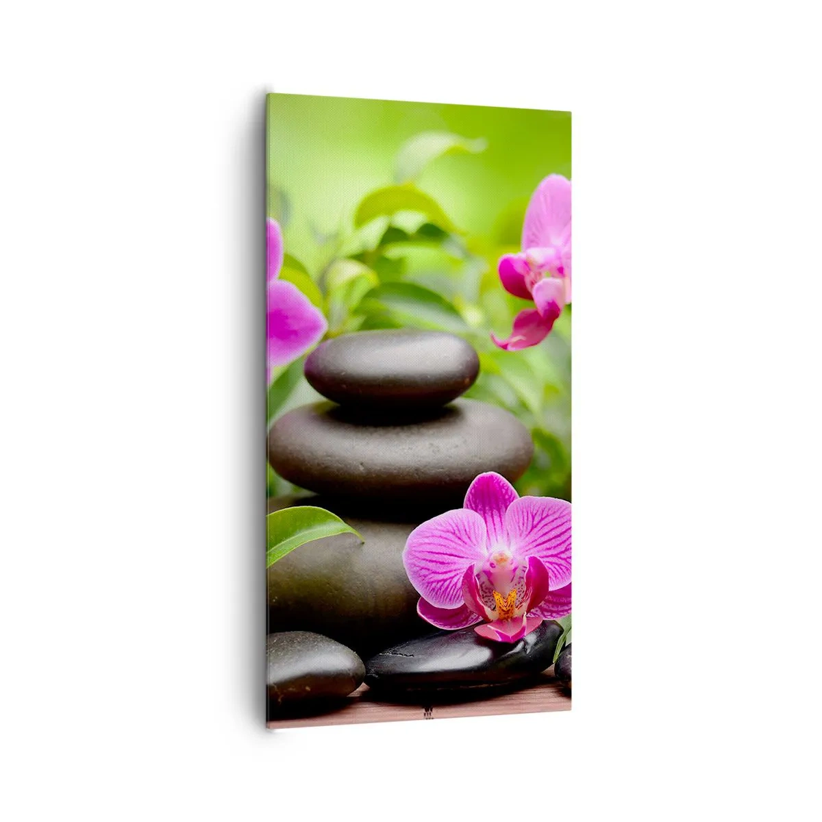 Impression sur toile - Image sur toile - Pyramide de la Paix - 65x120 cm