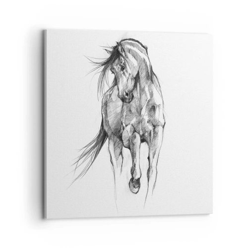 Impression sur toile - Image sur toile - D'un trot gracieux - 70x70 cm