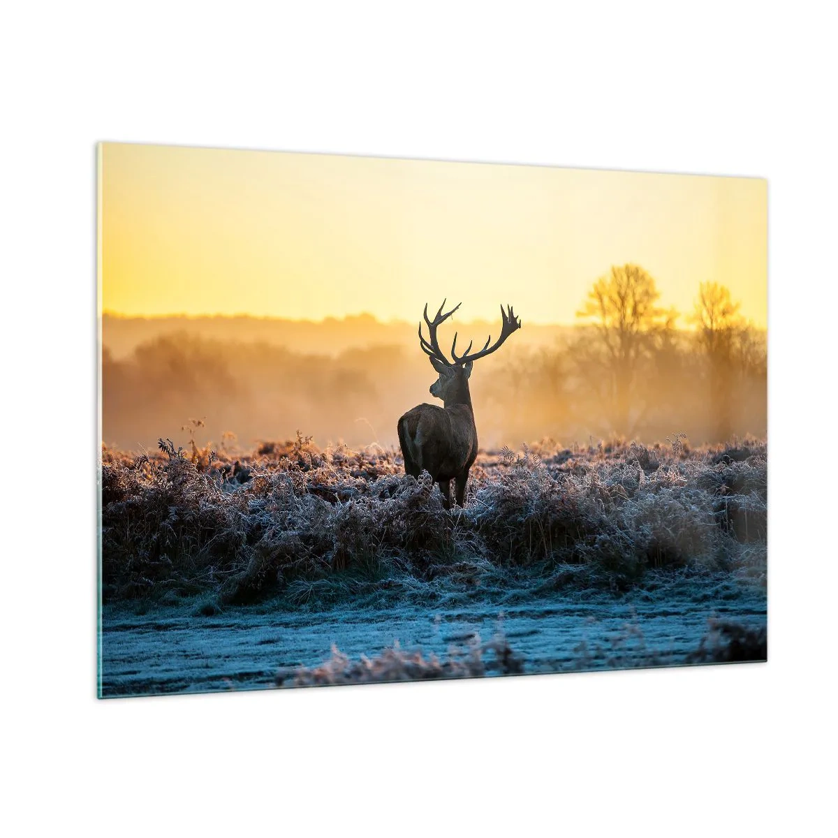 Impression sur verre - Image sur verre - Cerf par un matin glacial avec le lever du soleil en arrière-plan - 100x70cm - Couronné pour sa succession - Décoration murale moderne pour le salon et la chambre ARTTOR