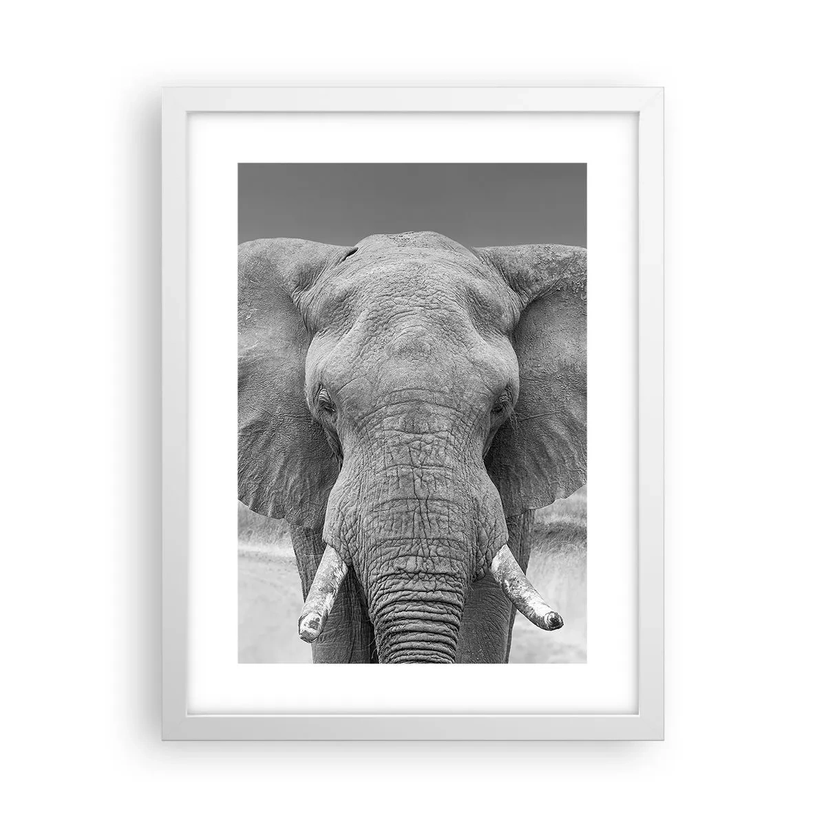 Affiche dans un cadre blanc - Poster - Bienvenue dans mon monde - 30x40 cm