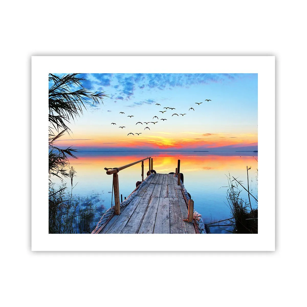 Affiche - Poster - Il est temps de rentrer... - 50x40 cm