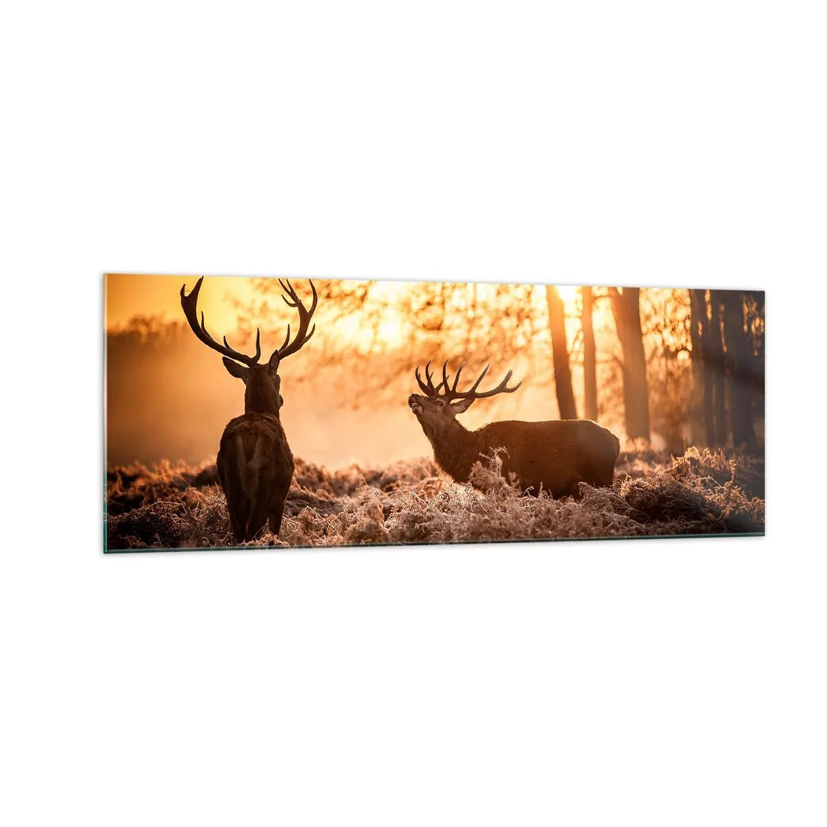 Impression sur verre - Image sur verre - Deux cerfs au coucher du soleil dans un paysage hivernal - 140x50cm - Le rêve d'un chasseur - Décoration murale moderne pour le salon et la chambre ARTTOR