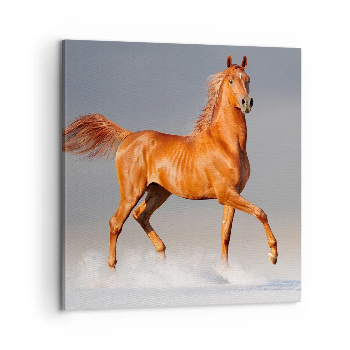 Impression sur toile - Image sur toile - La grâce dansante - 60x60 cm