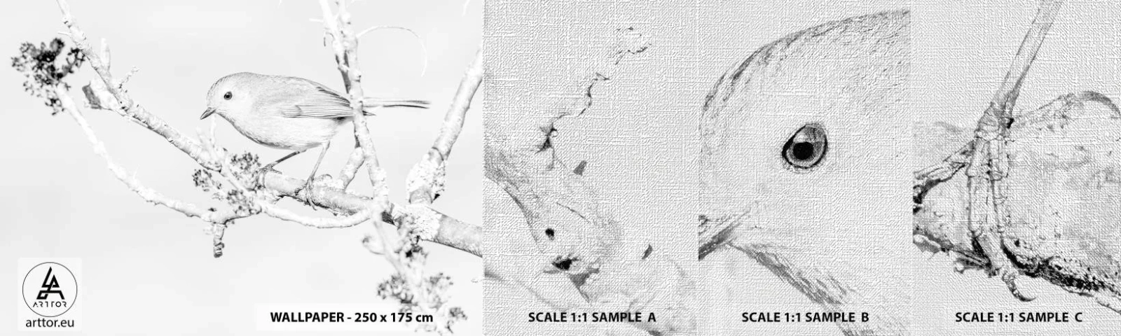 Échantillon de Papier Peint Premium Canvas - Matin d'hiver - Brillant, Oiseau, Nature - 100x30 cm