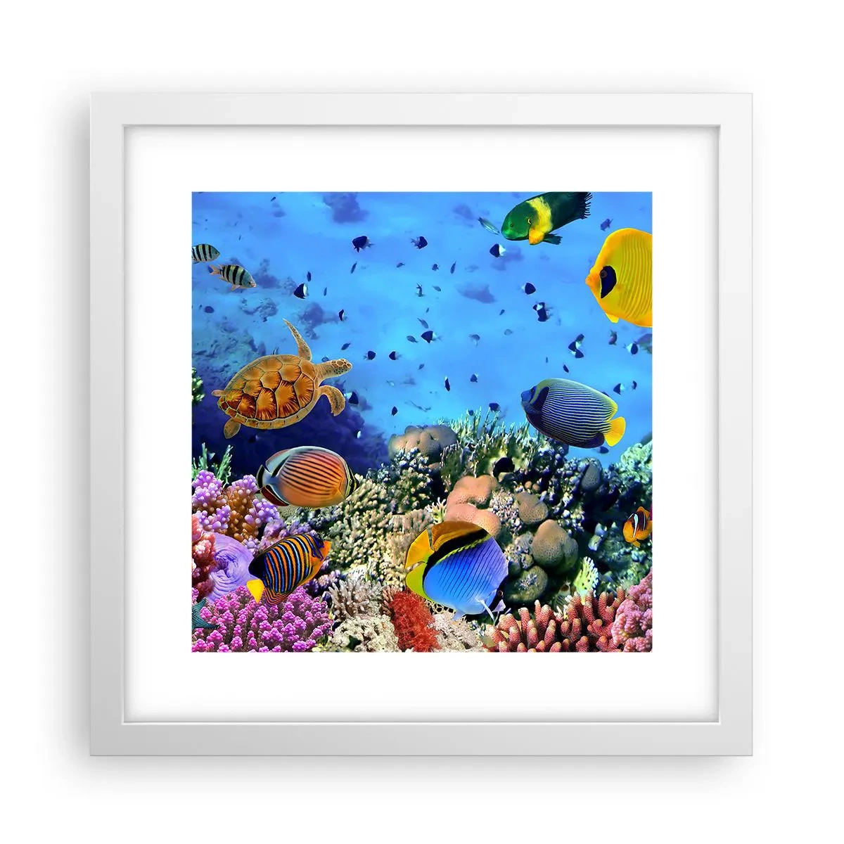 Affiche dans un cadre blanc - Poster - Et que sait-on de la vie… - 30x30 cm